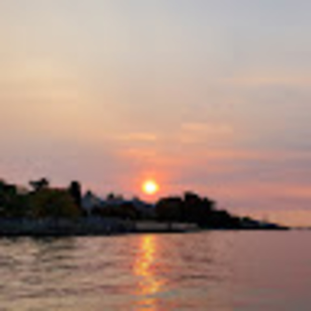 Meet your Posher, Rosa